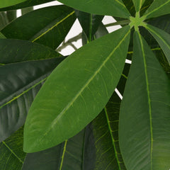Tekokasvi ruukulla kastanjasutipuu 85 cm vihreä